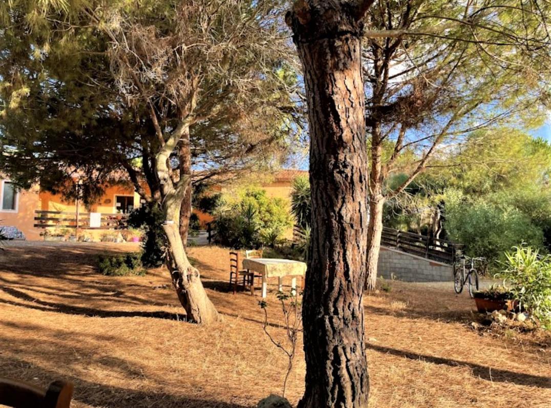 Il Lentischio Del Sinis Villa Putzu Idu Bagian luar foto