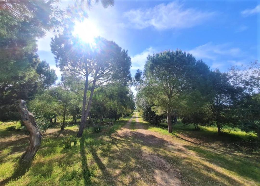 Il Lentischio Del Sinis Villa Putzu Idu Bagian luar foto